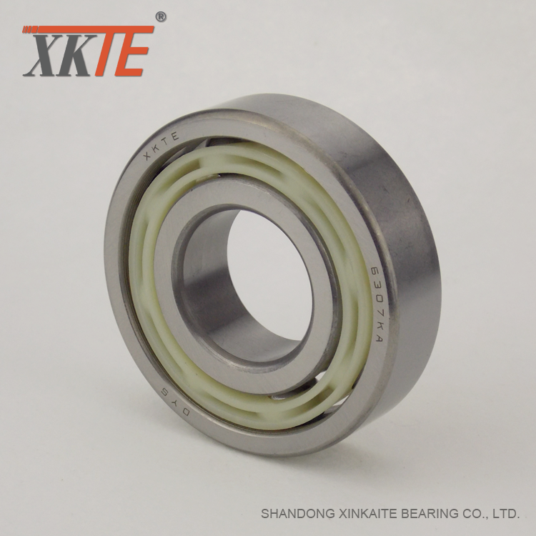 6307 Polyamide Bearing