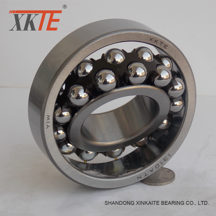 Nylon Cage Self Aligning Ball Bearing 1310atn